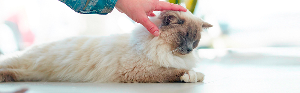 Weitere Informationen: